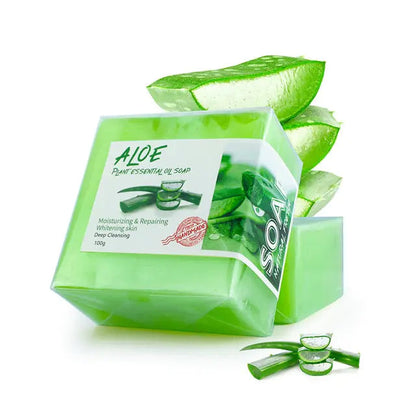 Papaya Angelica Ginger Slices Soap Kia Day Design