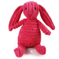 Dog Chew Squeak Toys Red Bunny