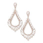 Oversized Cut Out Cluster Vine Accented Teardrop Earrings - Rose Gold - Earrings