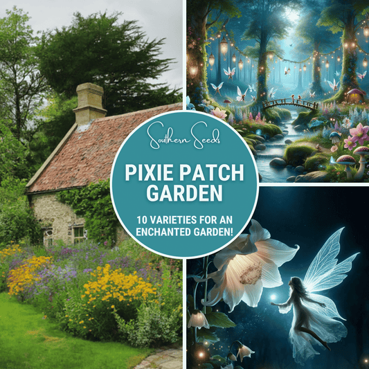 Pixie Patch Seed Collection – 10 Enchanted Varieties - - Seeds