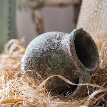 Pompeii Cement Floral Jar - -
