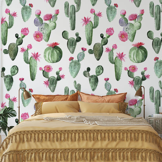 Prickly Princess Wallpaper - - Wallpaper
