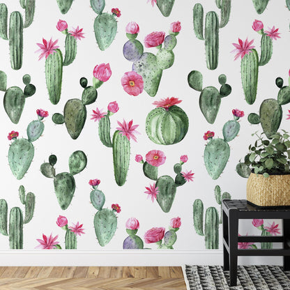 Prickly Princess Wallpaper - - Wallpaper