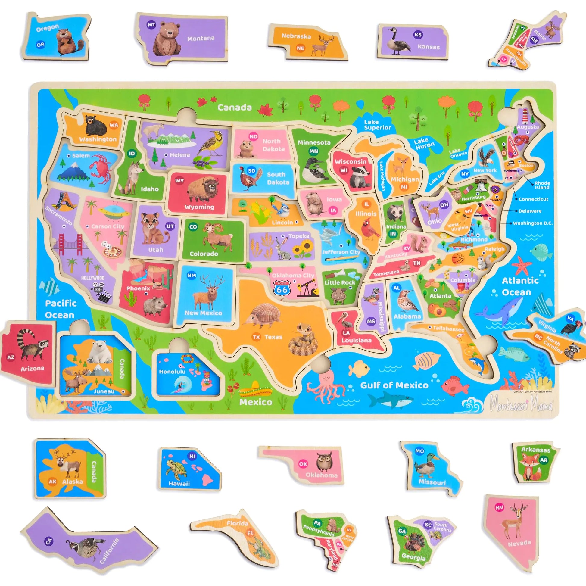 Montessori Mama Wooden USA Map Puzzle - USA Map Puzzle - puzzle