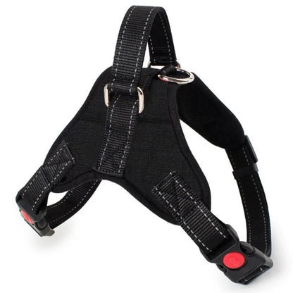 Adjustable Reflective Pet Harness Kia Day Design