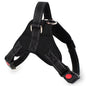 Adjustable Reflective Pet Harness Kia Day Design