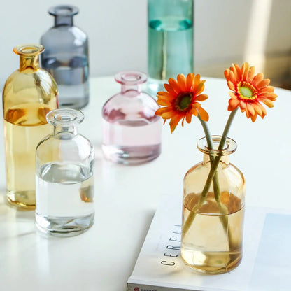 Nordic Glass Flower Vase Decor Kia Day Design