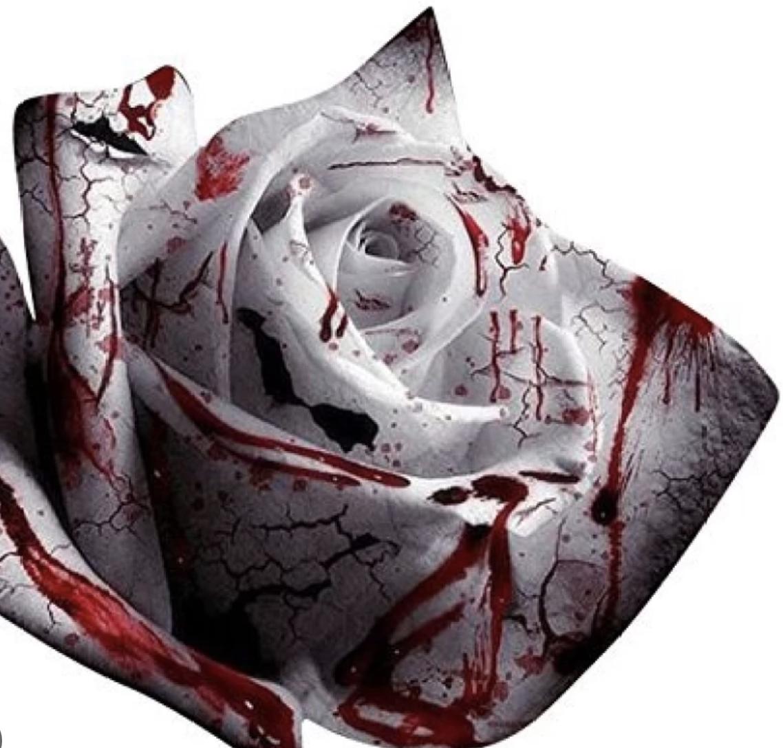 Rare White Blood Rose Plant Flower Seeds Flower Garden Asaka Rare True Blood Rose - - Seeds