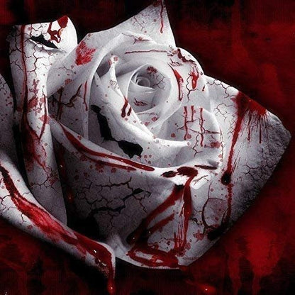 Rare White Blood Rose Plant Flower Seeds Flower Garden Asaka Rare True Blood Rose - - Seeds