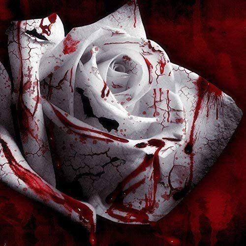 Rare White Blood Rose Plant Flower Seeds Flower Garden Asaka Rare True Blood Rose - - Seeds