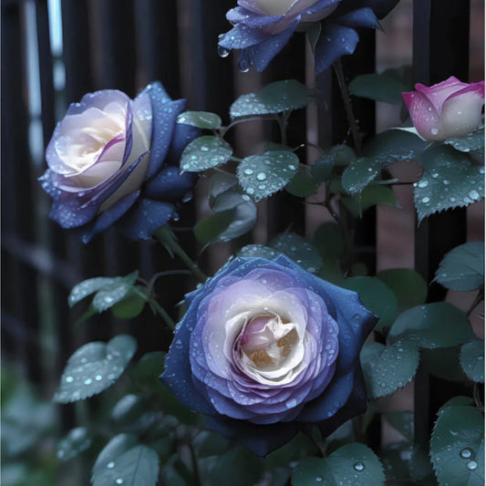 20pcs FALL IN LOVE Rose Seeds - - Seeds
