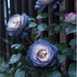 20pcs FALL IN LOVE Rose Seeds - - Seeds