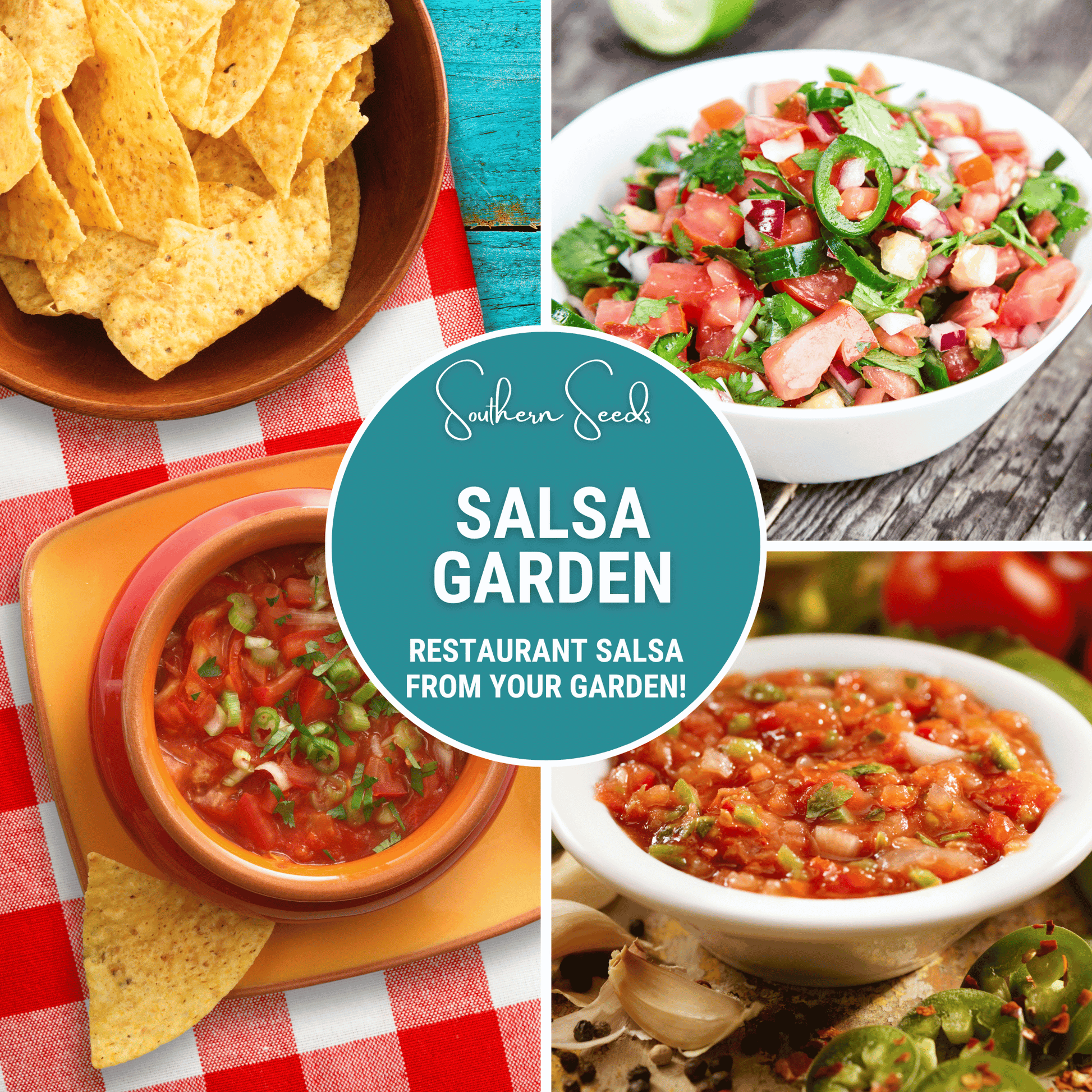 Salsa Seed Collection – Restaurant Style – 10 Amazing Varieties - - Seeds