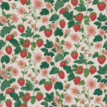 Shortcake Wallpaper - - Wallpaper