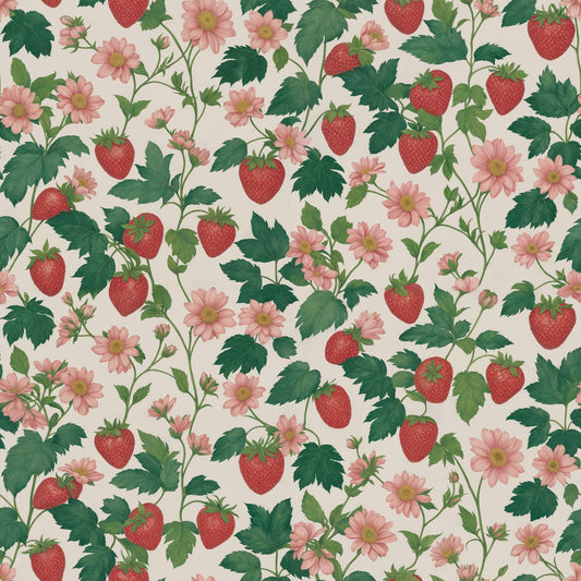 Shortcake Wallpaper - - Wallpaper