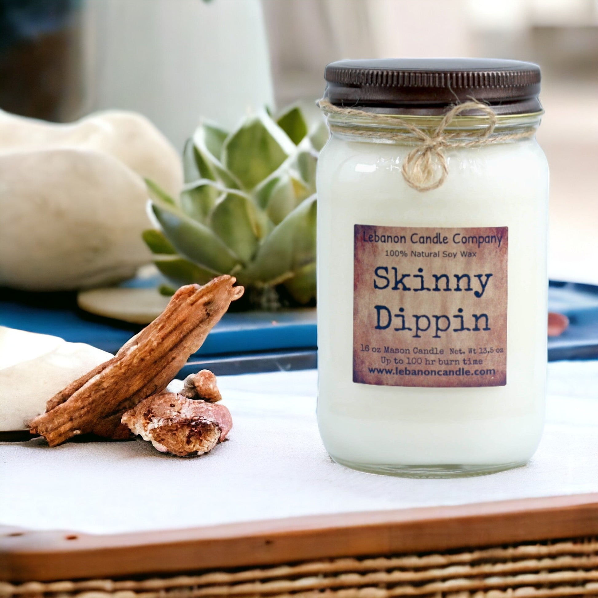 Skinny Dippin Candle - - Candles & Melts