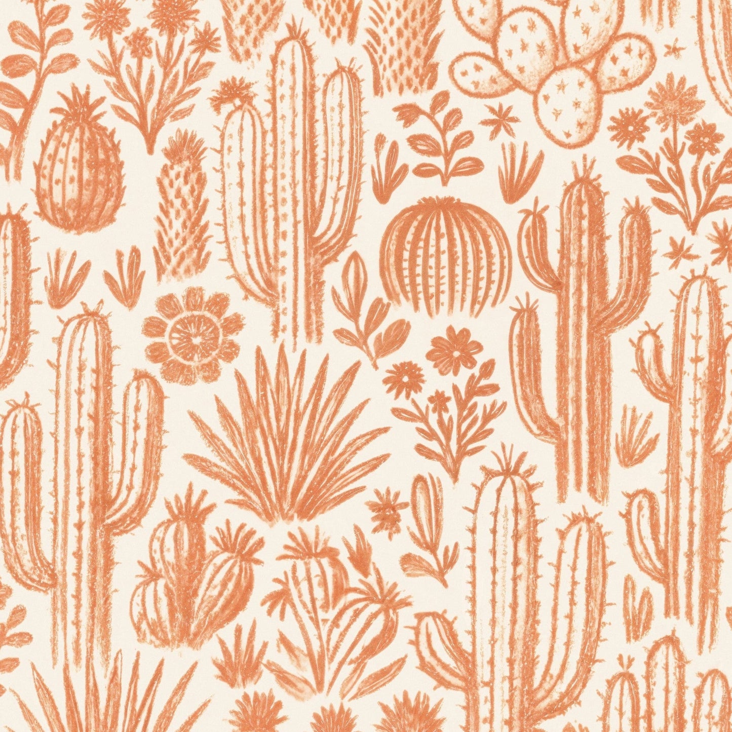 Ocotillo Wallpaper - - Wallpaper