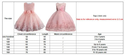 Girls Butterfly Dress