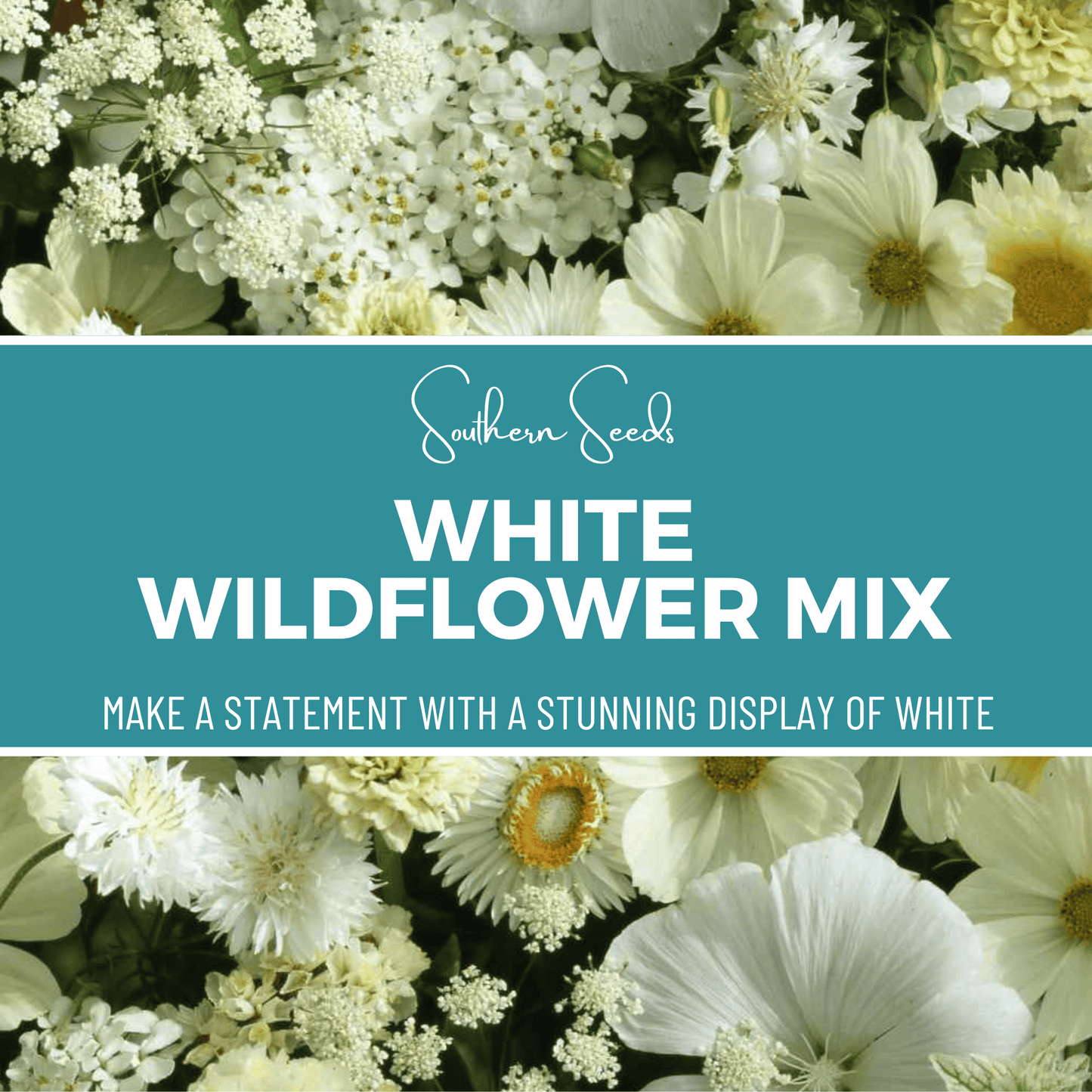White Wildflower Seed Mix – 100 Seeds - - Seeds