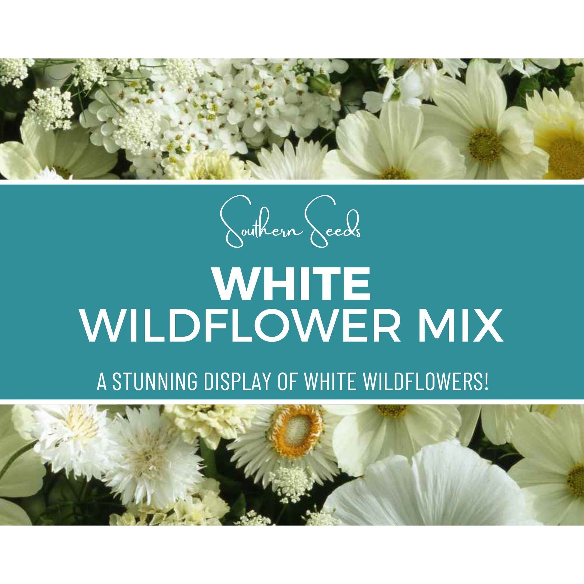 White Wildflower Seed Mix – 100 Seeds - - Seeds