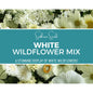 White Wildflower Seed Mix – 100 Seeds - - Seeds