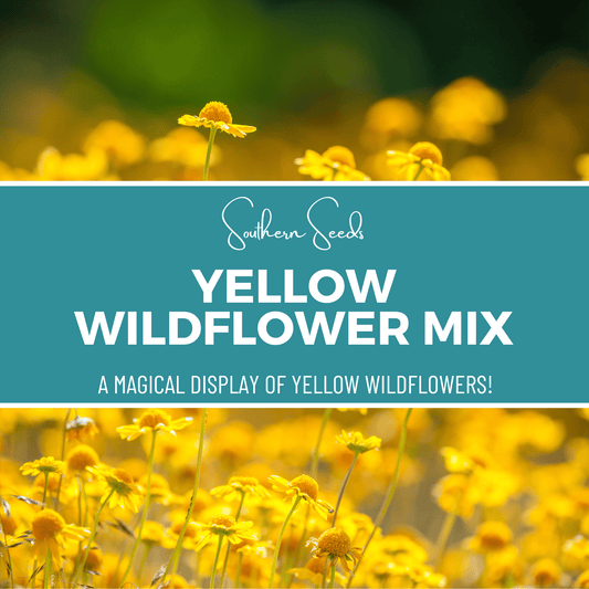 Yellow Wildflower Seed Mix – 1,000 Seeds - - Seeds