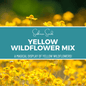 Yellow Wildflower Seed Mix – 1,000 Seeds - - Seeds