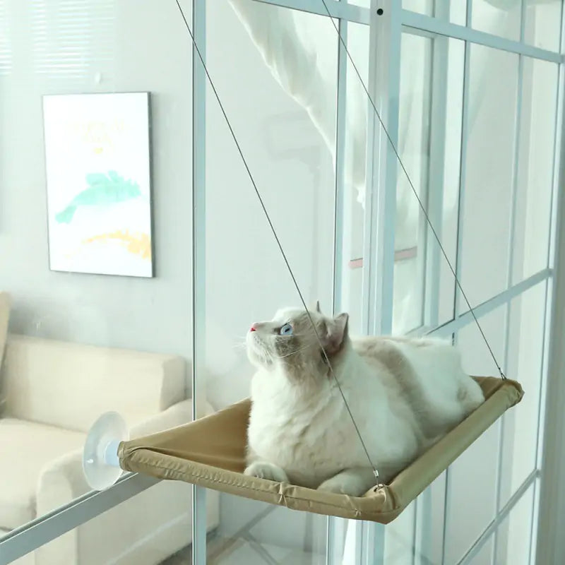 Suction Cup Hanging Cat Hammock - Kia Day Design