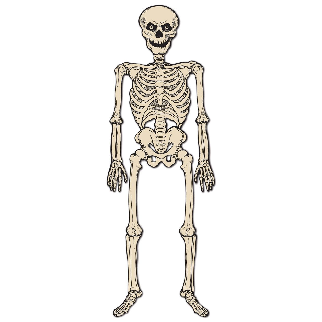 Vintage Halloween Jointed Skeleton - 4 Feet Tall - Default Title - Holidays >> Halloween