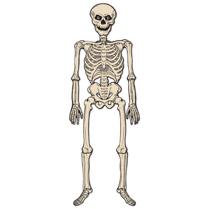 Vintage Halloween Jointed Skeleton - 4 Feet Tall - Default Title - Holidays >> Halloween